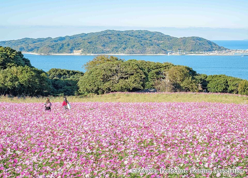 Nokonoshima Island Park