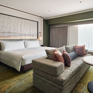 1 King Standard Sofa Bed